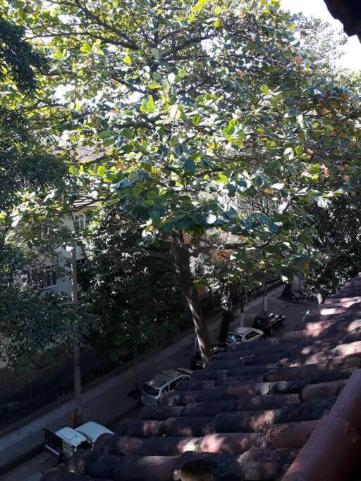 Vaga Em Hostel No Leblon Rio de Janeiro Eksteriør bilde